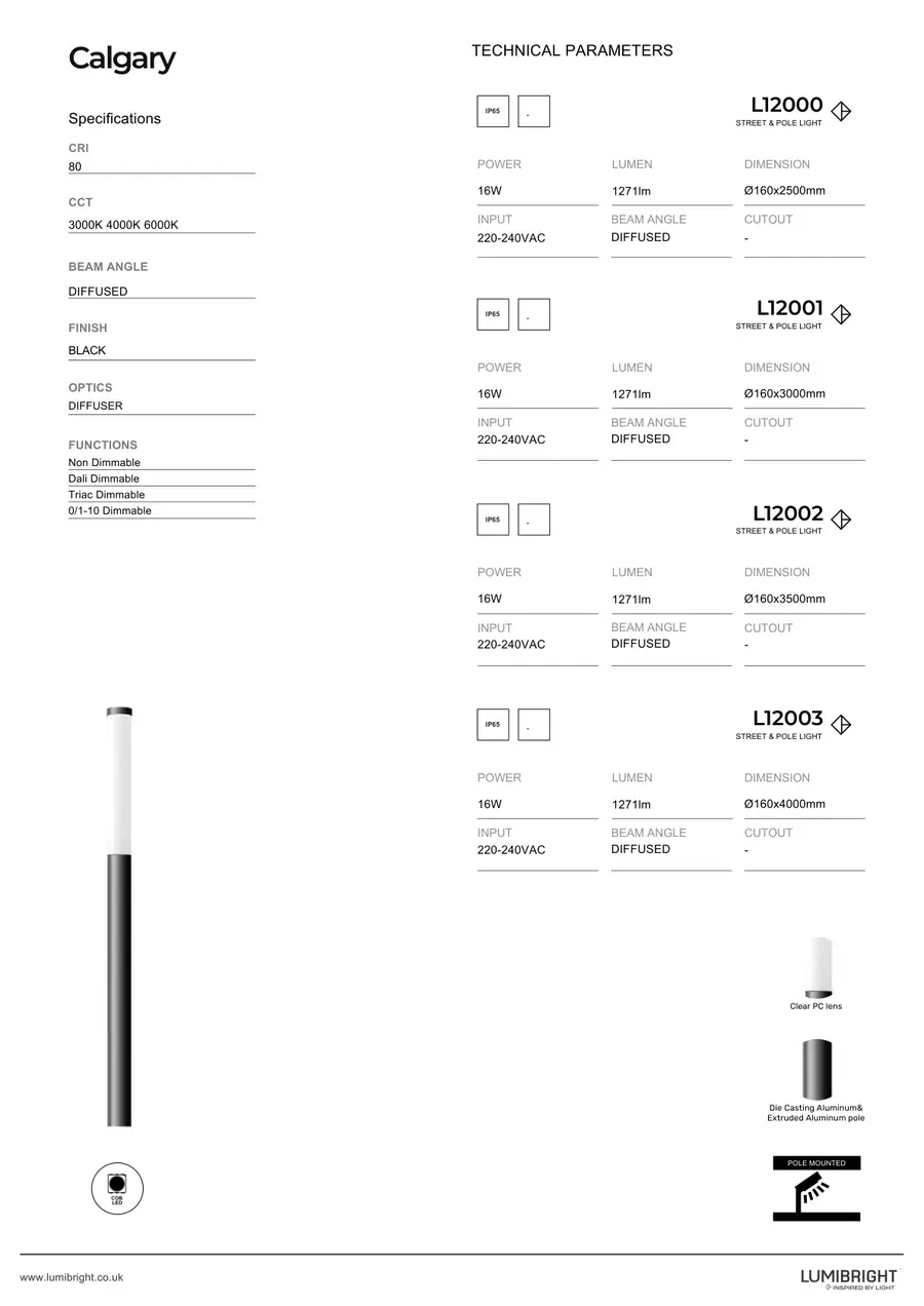 LUMIBRIGHT CALGARY L12000 street light product view