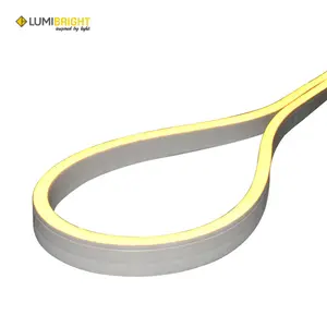 NEON FLEX LB9905 - NEON FLEX