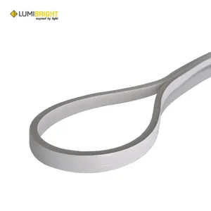 NEON FLEX LB9945 - NEON FLEX