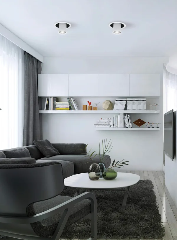 Living room with recessed ceiling lights and open shelving