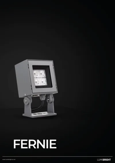 Flood Light