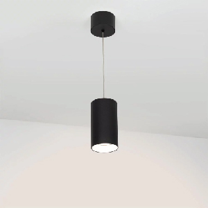 Ceiling Suspended Lights