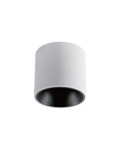 FILON SERIES 20W 120X110MM IP20 SURFACE MOUNTED DOWNLIGHT L02002