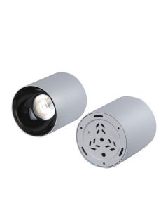 ABAJO 30W CEILING MOUNTED SPOT LIGHT IP65