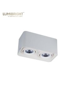 LUMIBRIGHT UNIQUE SERIES 2X12W 205X105X100MM IP20 SURFACE MOUNTED DOUBLE-HEAD SPOTLIGHT