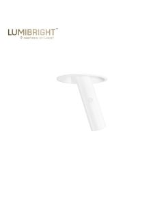 HYTHE 3W 91.5X301.5MM IP20 CEILING RECESSED SPOT LIGHT