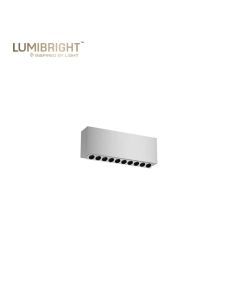 PEEQ SERIES 10X2W 245X55X90MM IP20 SURFACE MOUNTED SEMI ADJUSTABLE LINEAR SPOTLIGHT