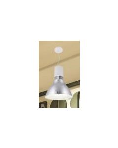 FORAKER SUSPENDED LAMP-60W