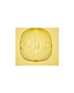 REIGN 6W SUSPENDED LAMP