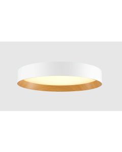 CIRCULOS CEILING LAMP IP20 LUMINAIRES- 55W