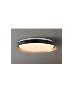 BARRIE 30W CEILING LIGHT