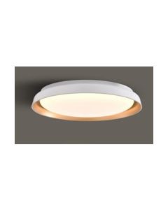 BARRIE 42W CEILING LIGHT