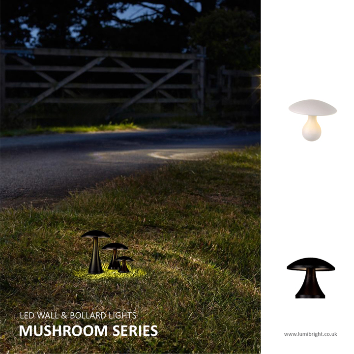 All New Mushroom Lights