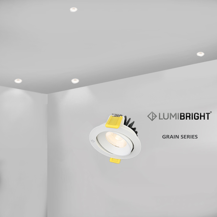  New Arrival of Grain Series