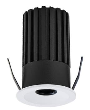 L01007
