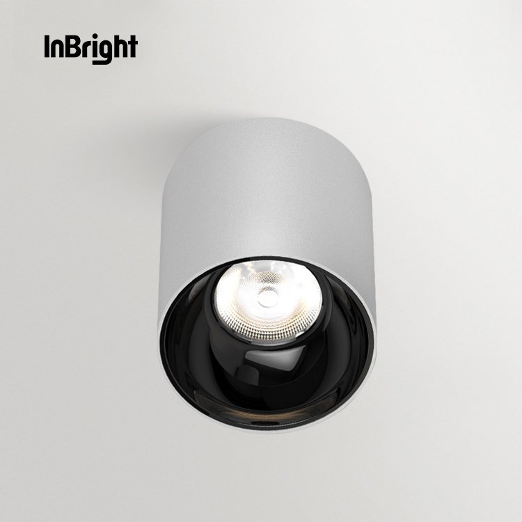 VASTE L02028 - CEILING SURFACE LIGHT