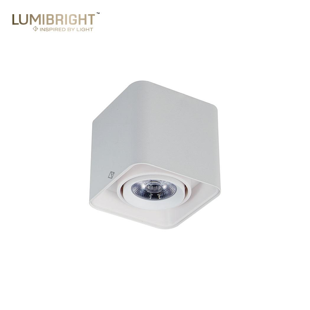 LBE2061