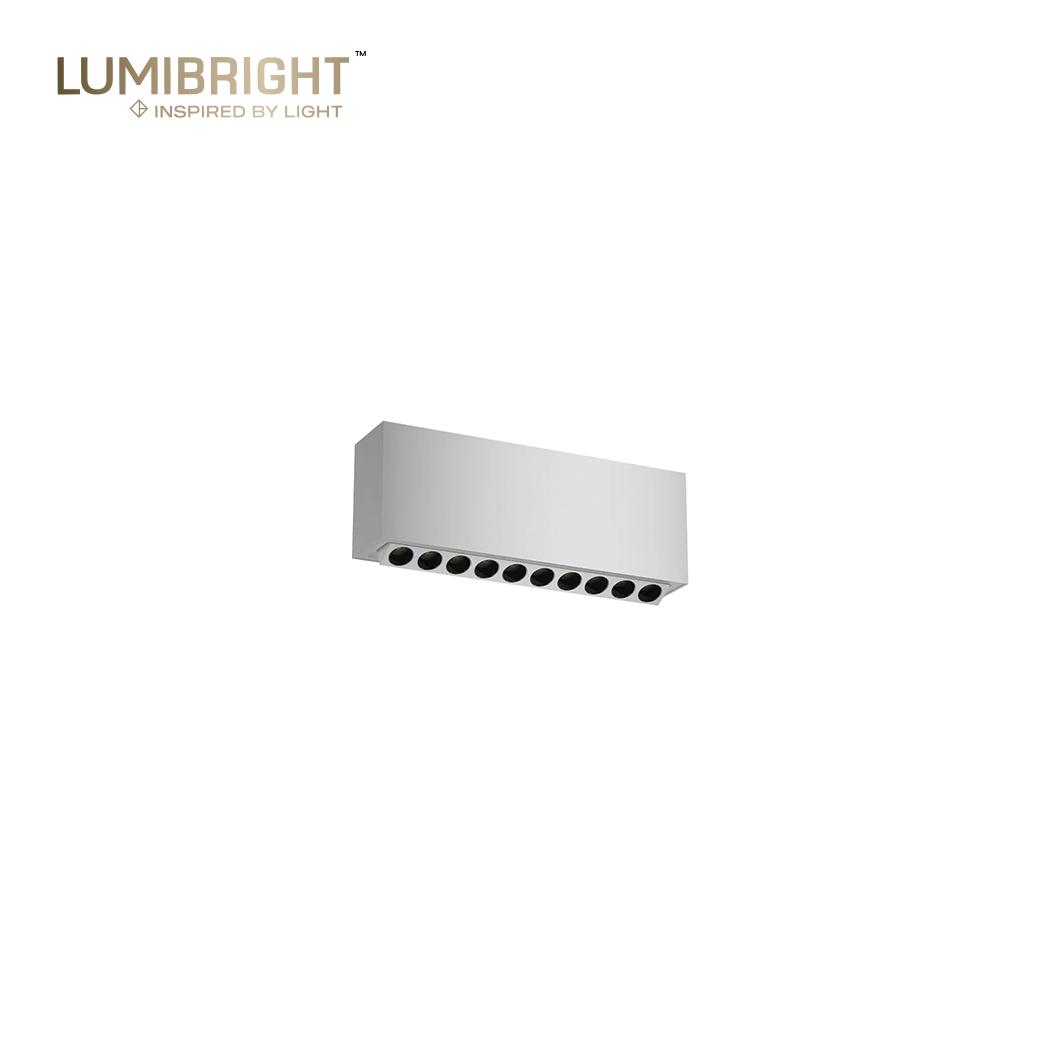 LUMIBRIGHT PEEQ SERIES 10X2W 245X55X90MM IP20 SURFACE MOUNTED SEMI ADJUSTABLELINEAR SPOTLIGHT