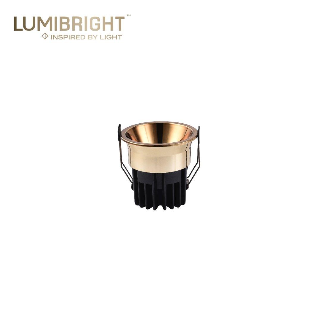 ROUS LBE2129 - SPOT LIGHT