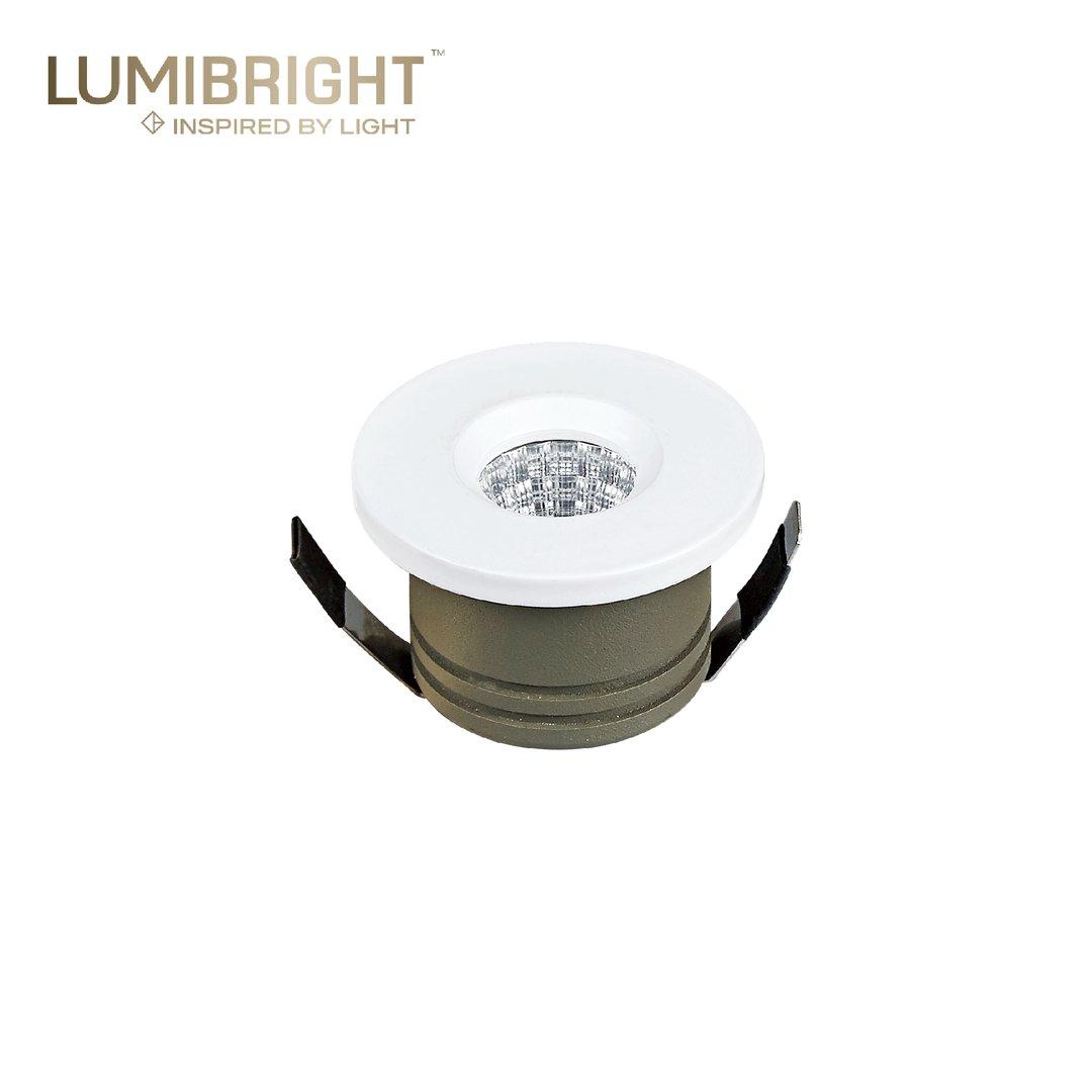 FLY LBE2137 - SPOT LIGHT