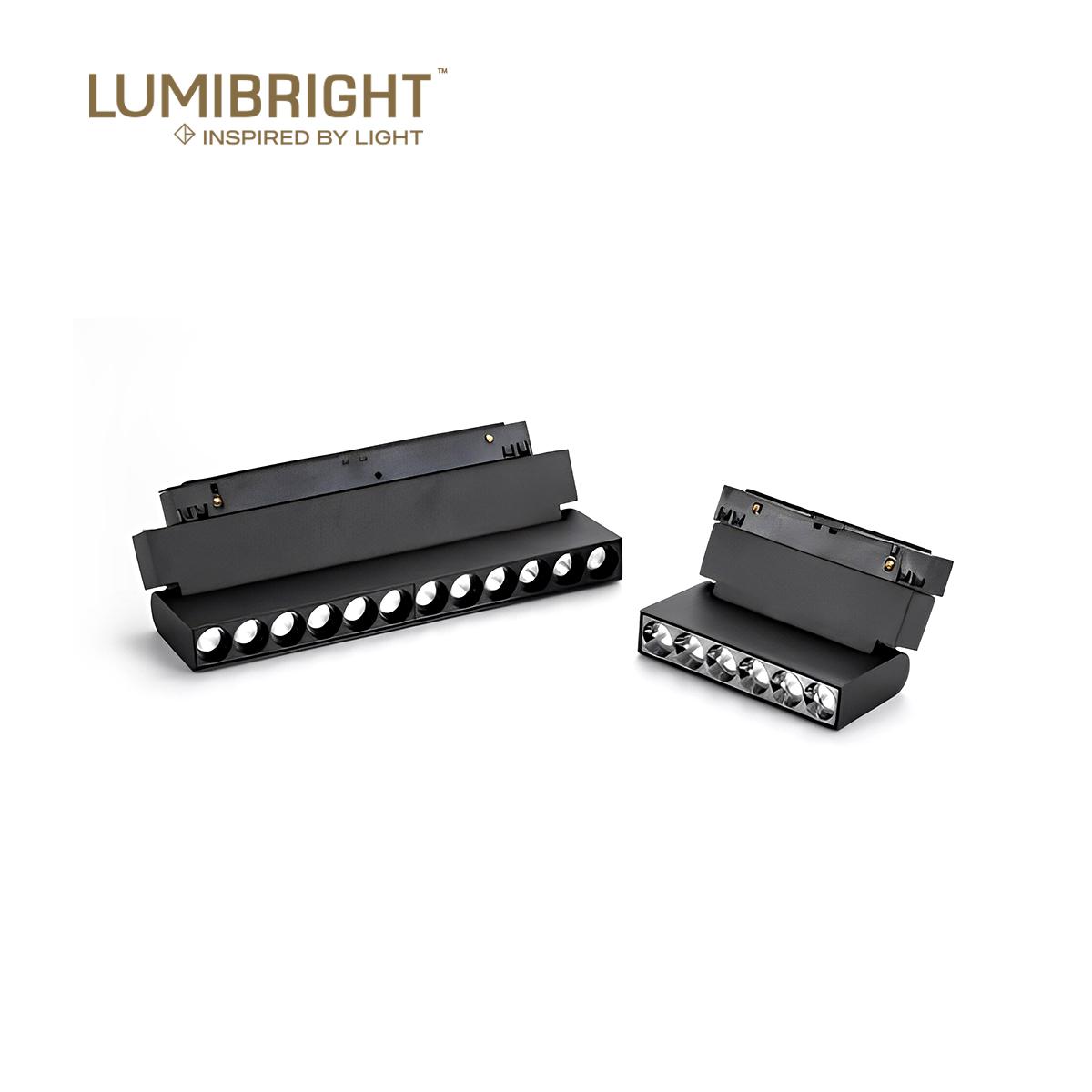 LUMIBRIGHT OMNIA magnetic light product view 2