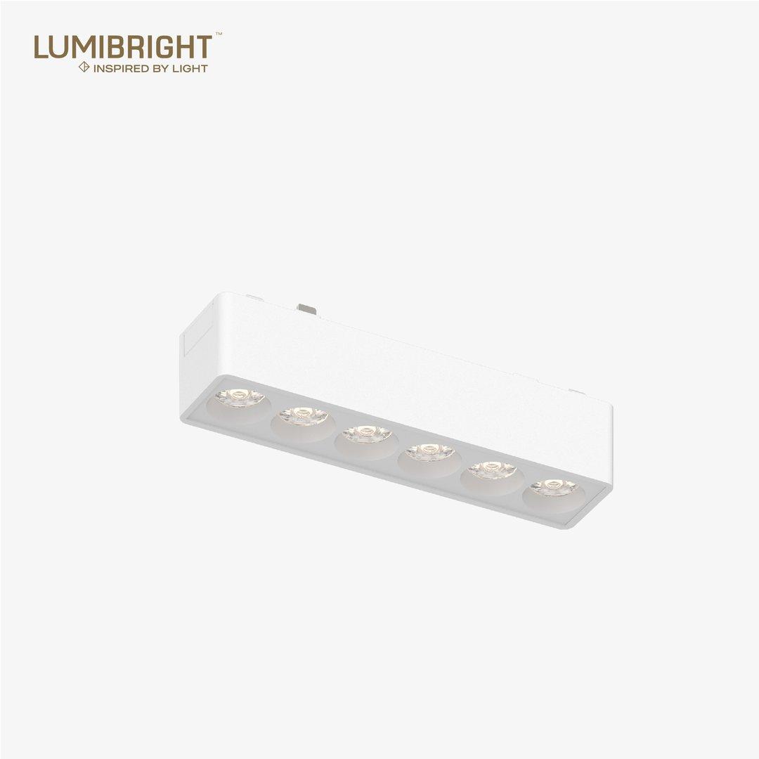 LBMG405