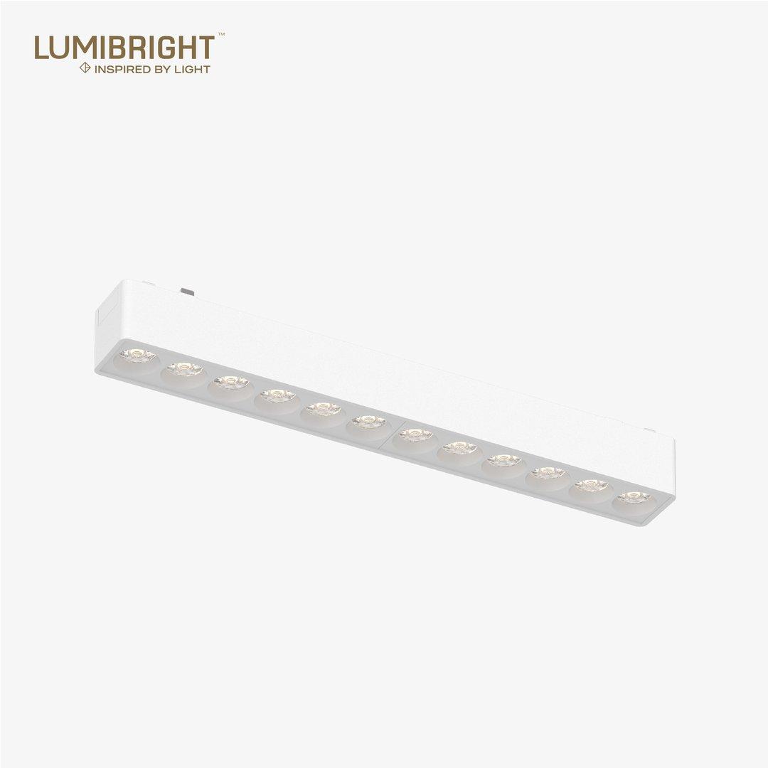 LBMG406