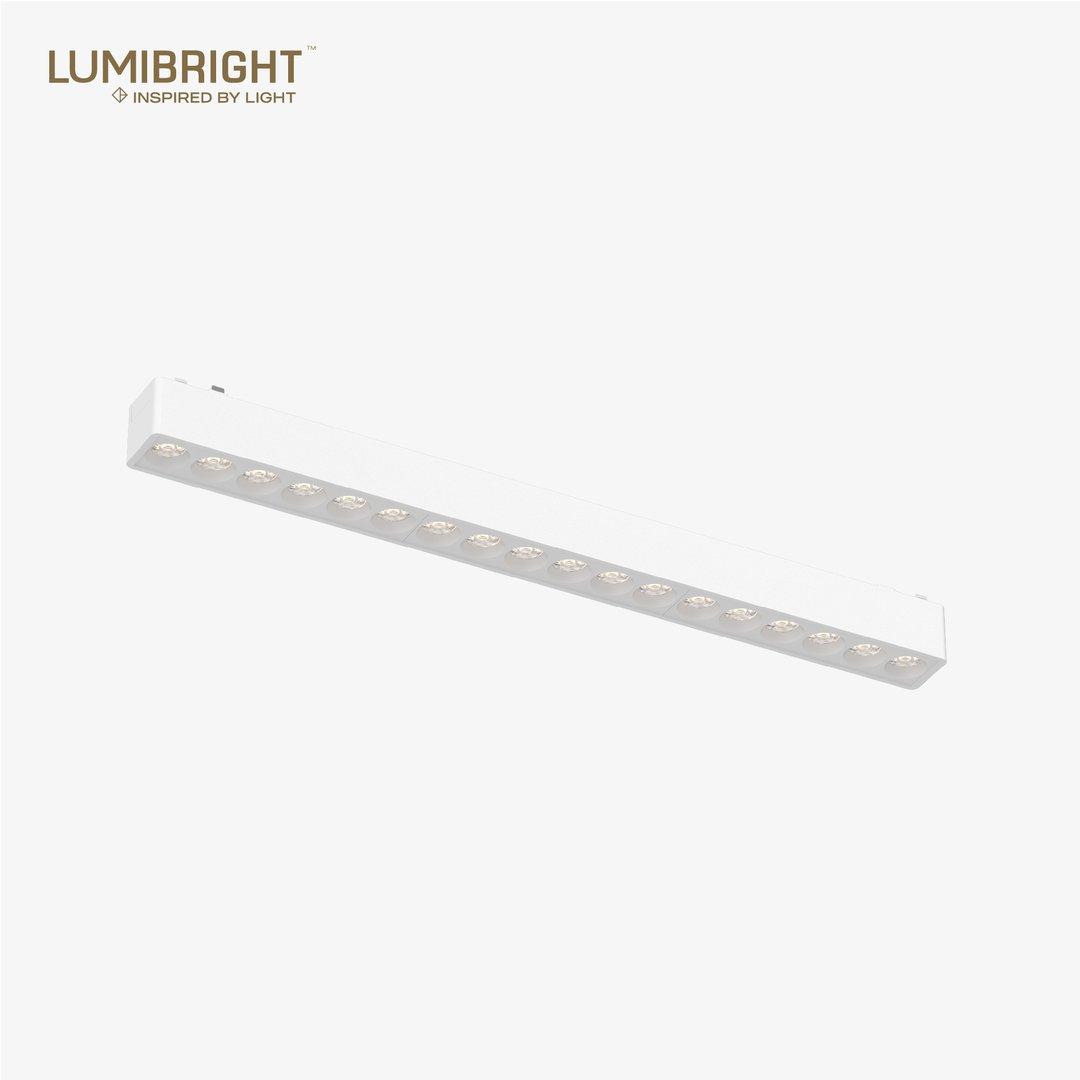 LBMG407