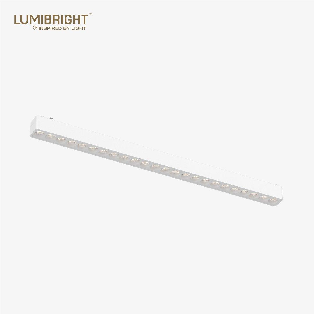 LBMG408