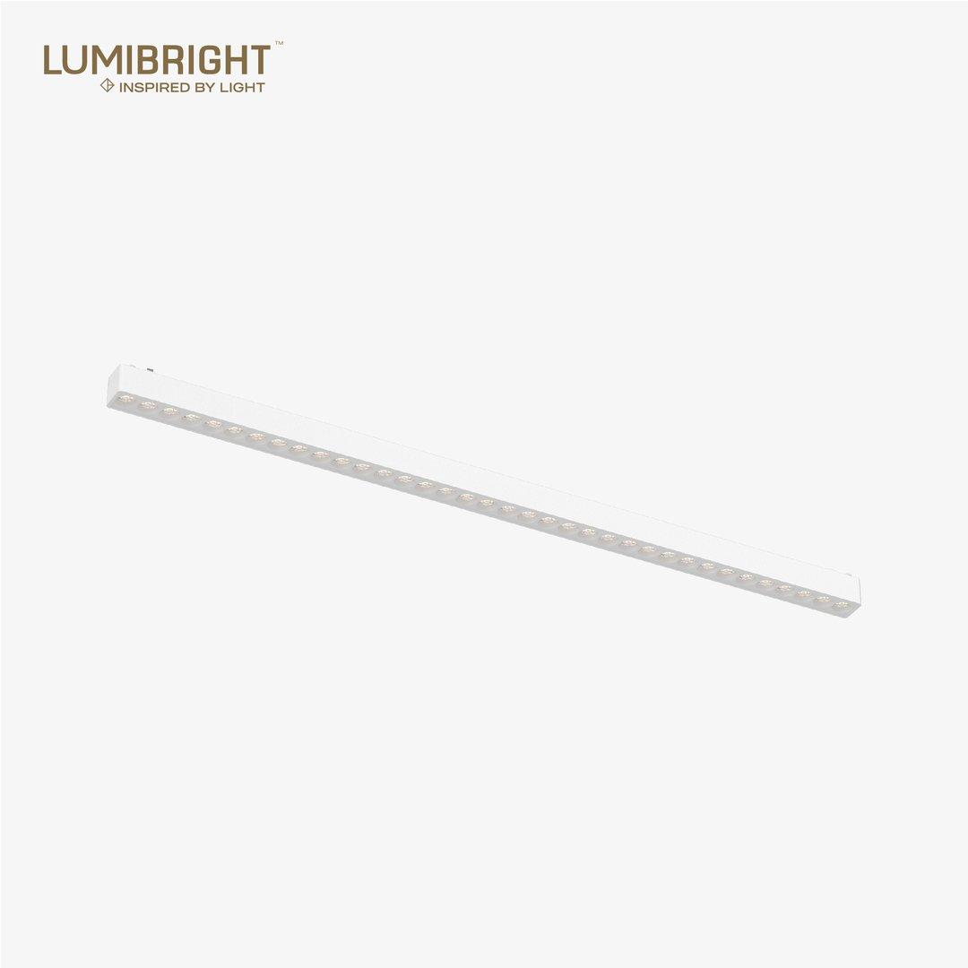 LBMG409