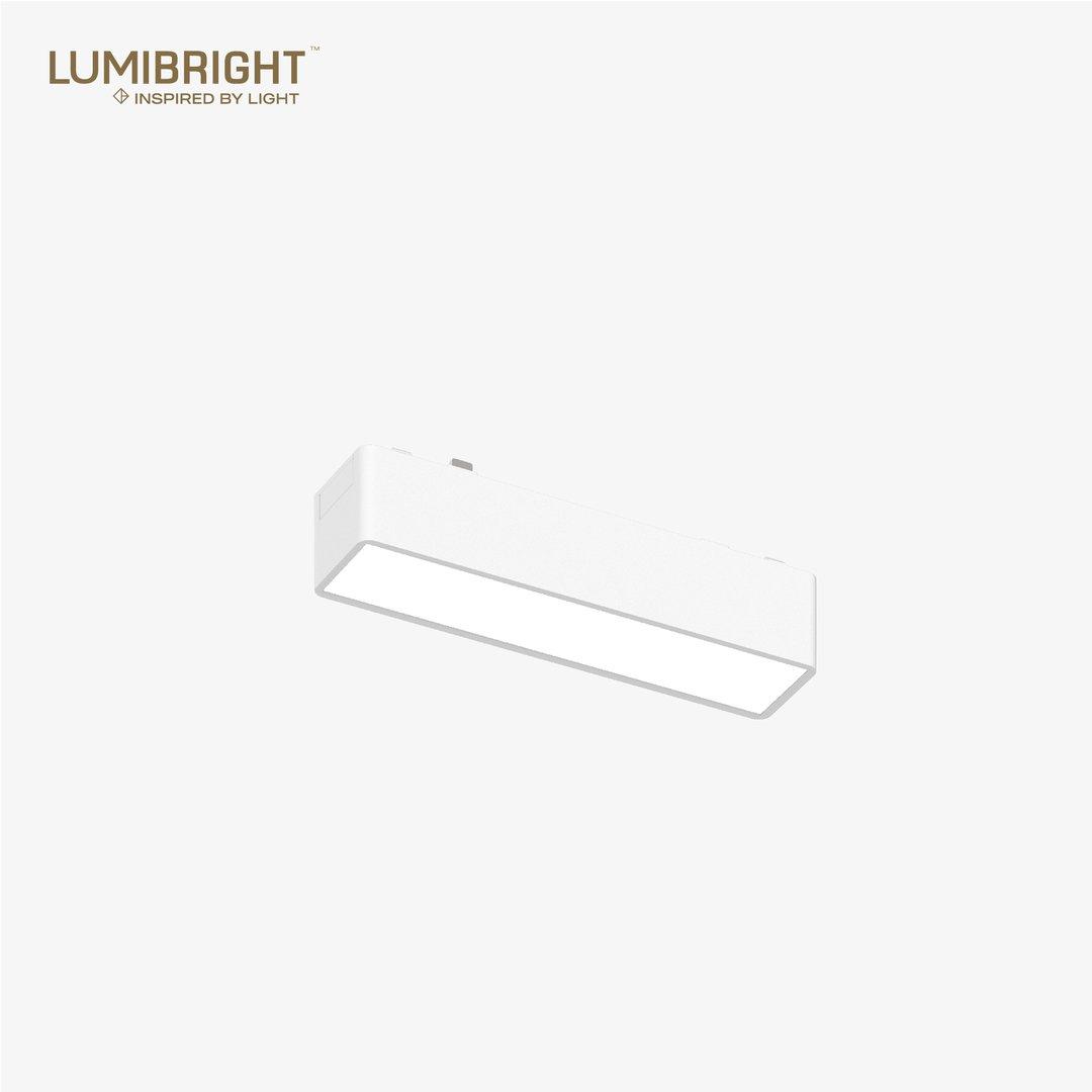 LBMG410