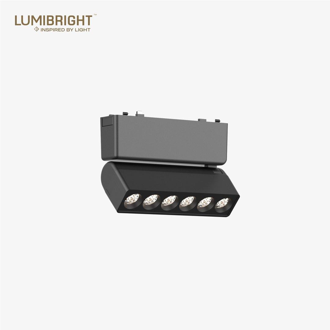 LBMG415