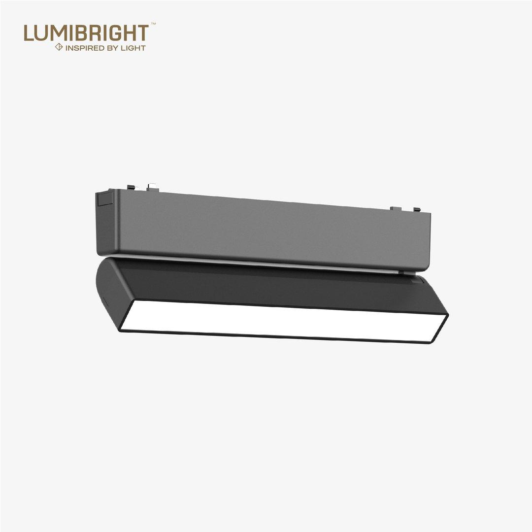 LBMG418