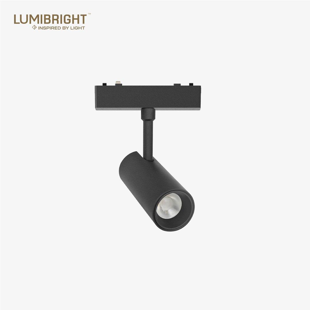 LBMG419