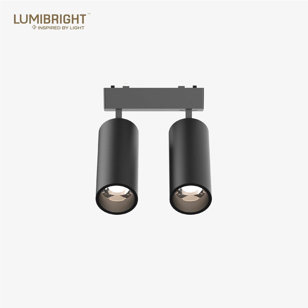 LBMG420