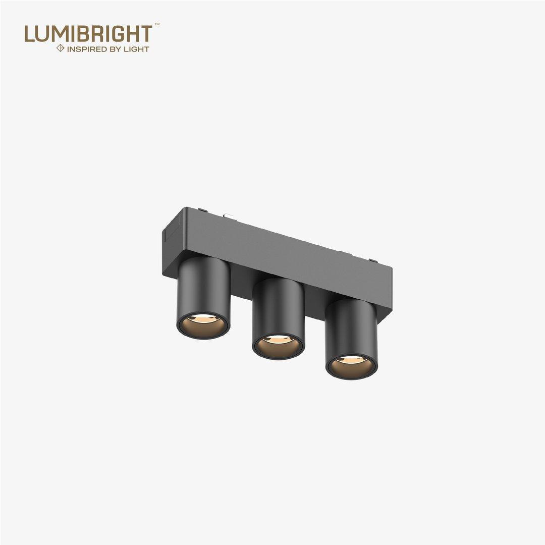 LBMG424