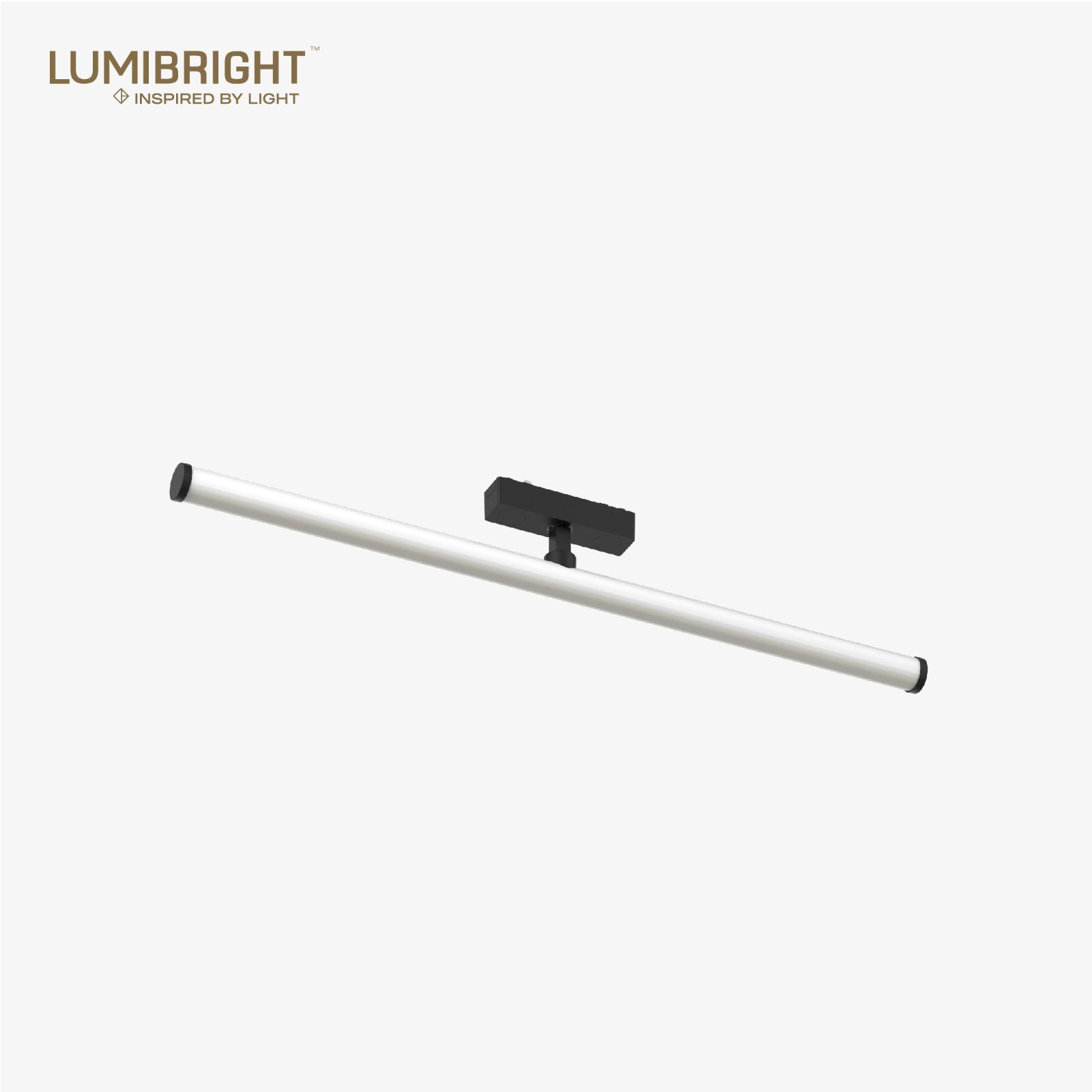LBMG428