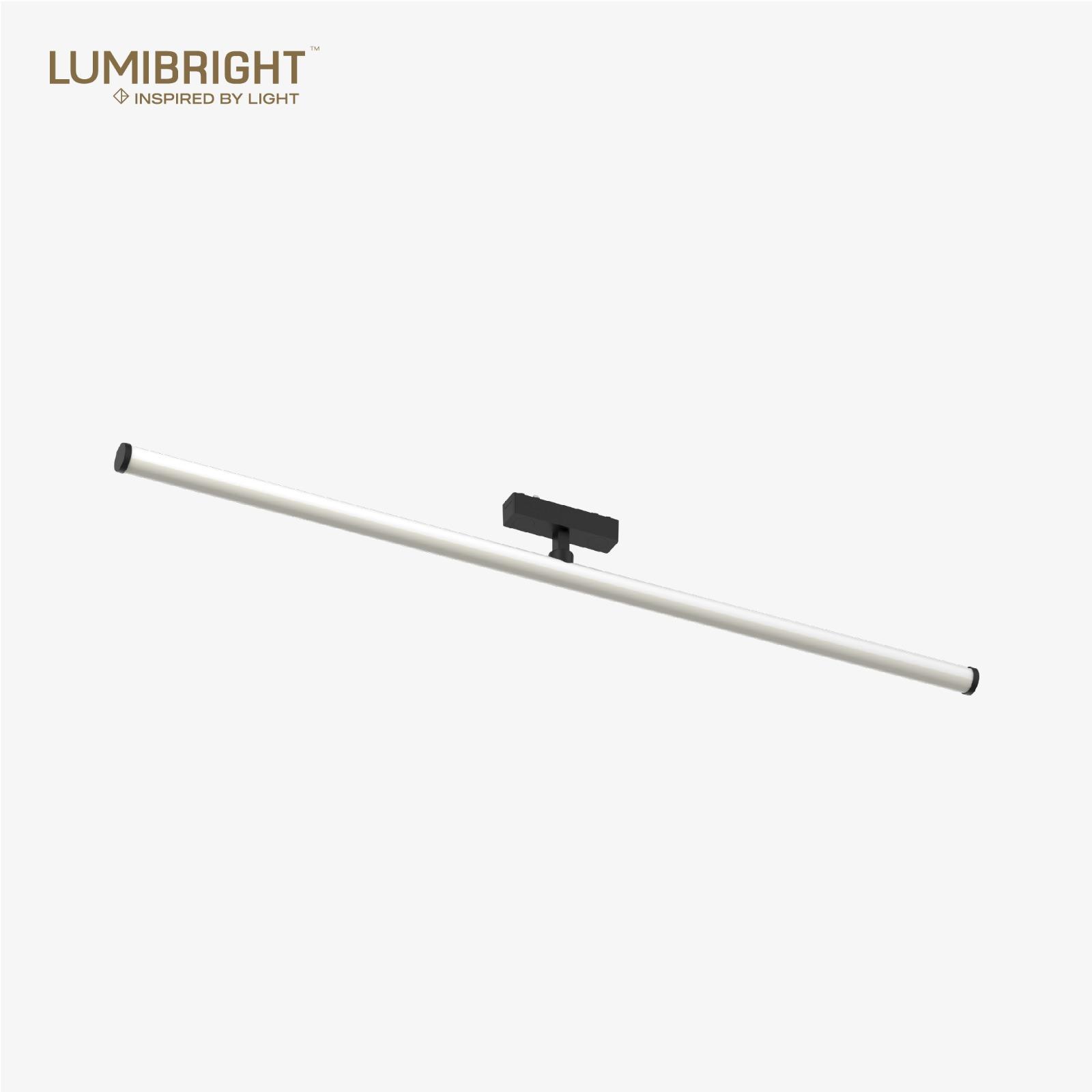 LBMG429