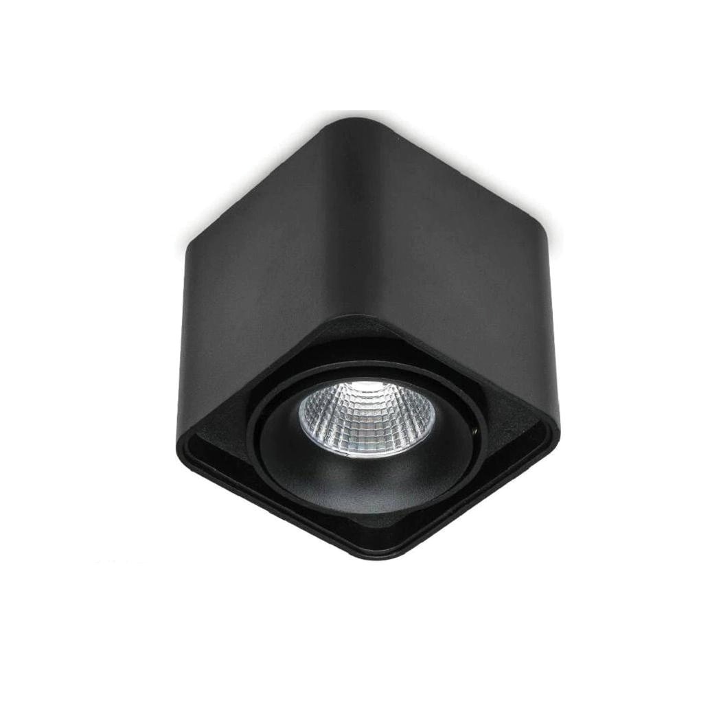LBP1019