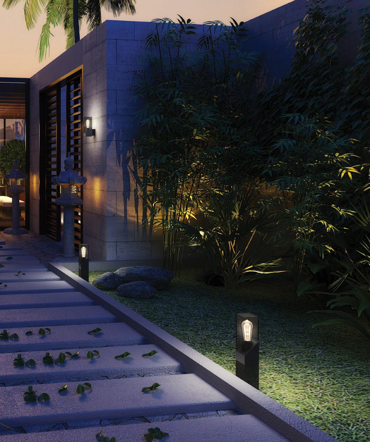 NEWIES application view 3