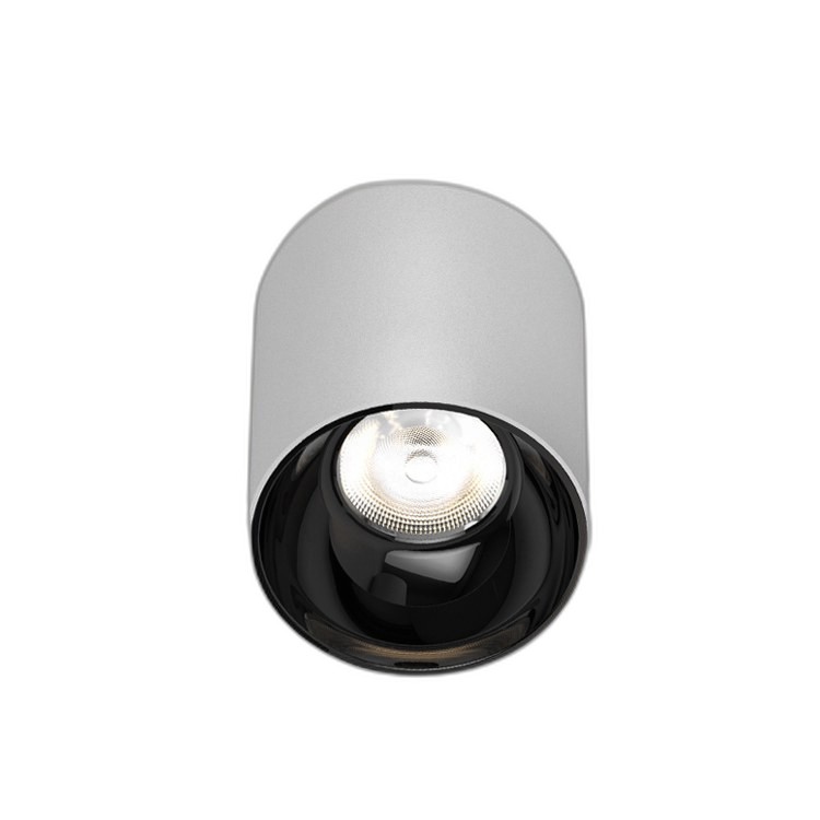 VASTE L02029 - CEILING SURFACE LIGHT