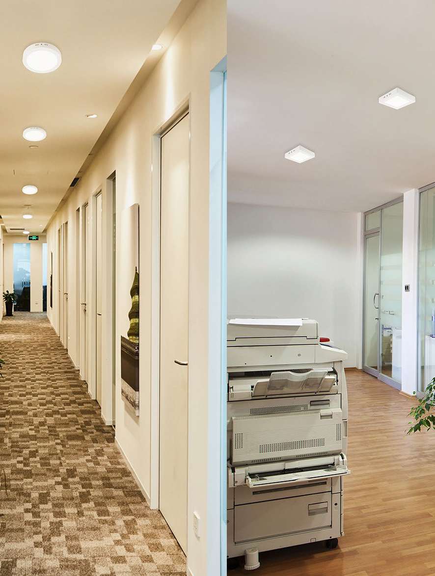 FILON L02004 - CEILING SURFACE LIGHT view 4