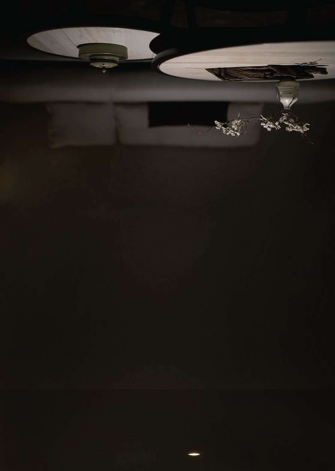 WERDER L02053 - CEILING SURFACE LIGHT view 3