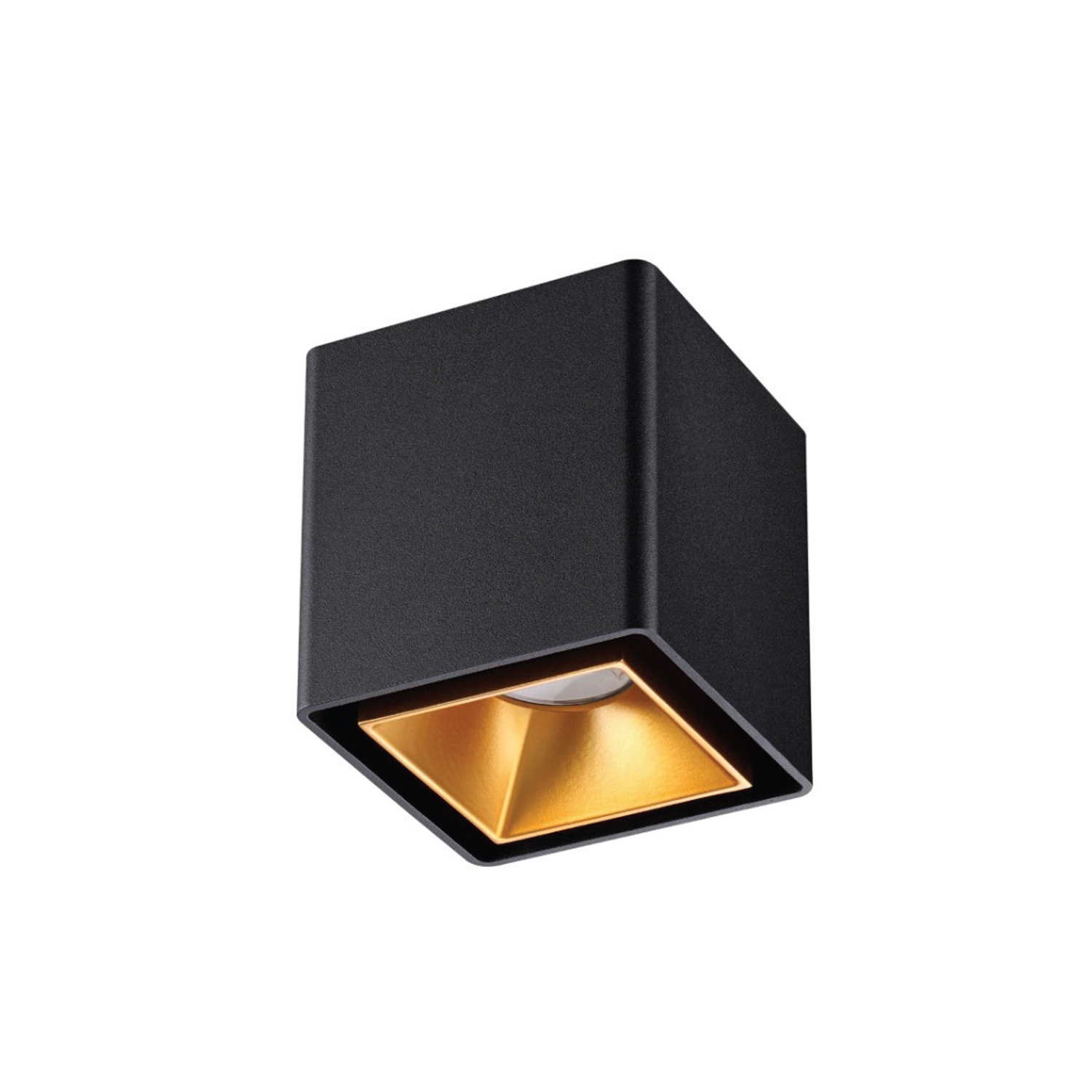 NOVO S LB2831 - SPOT LIGHT view 2